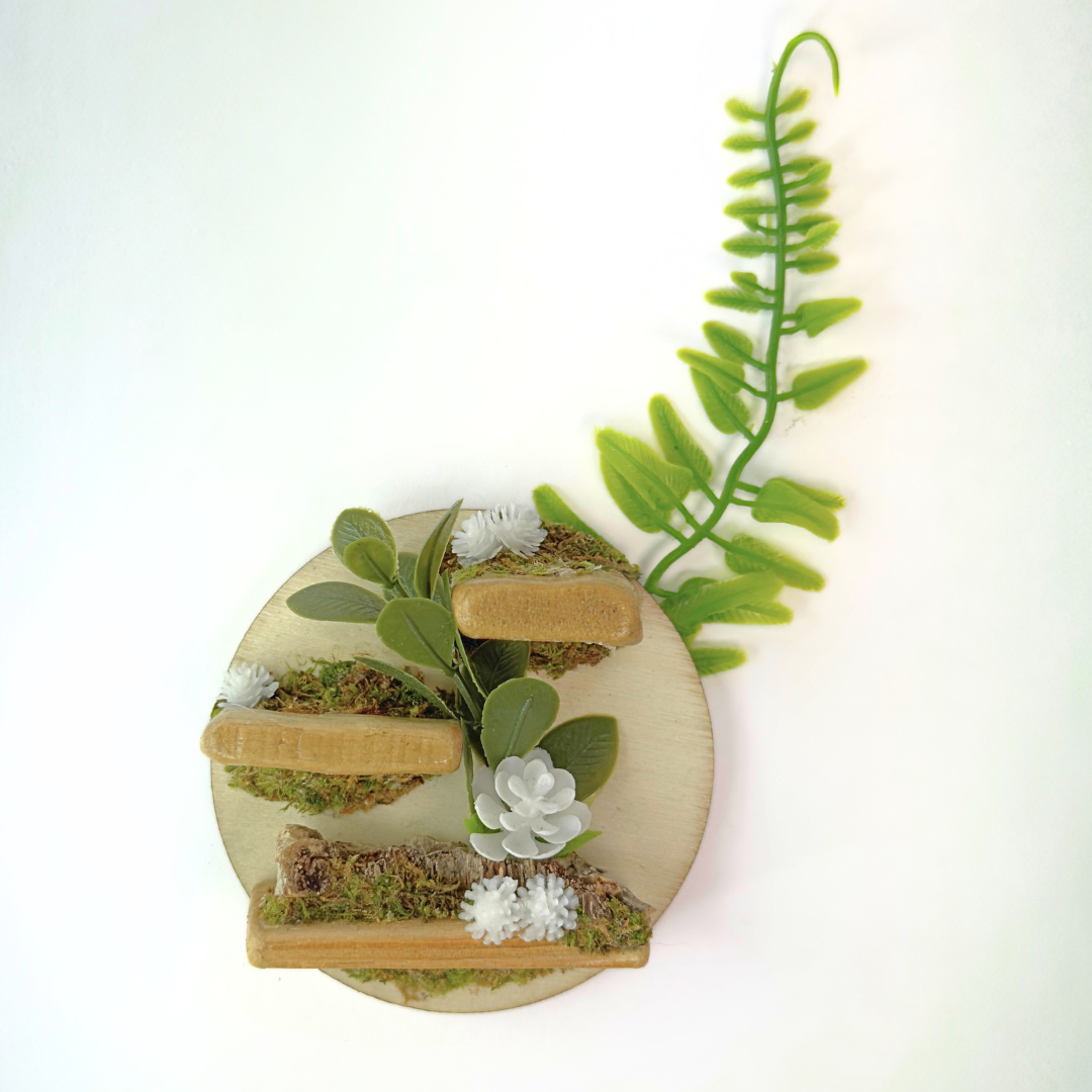 Petal Perch – Perfect Jumping Spider Platform/Ledge for Climbing & Webbing