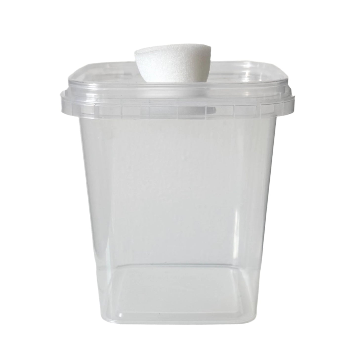Foam Vented Culture Tubs front foam view