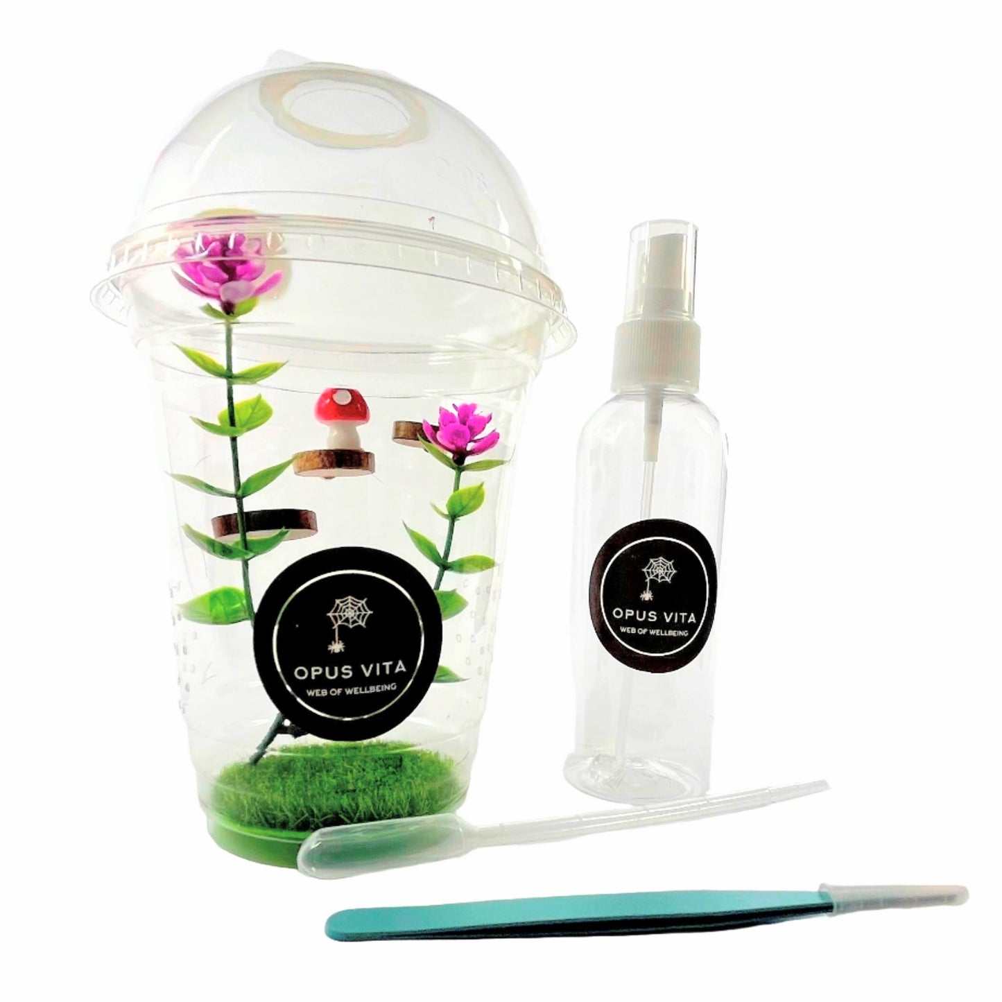 Starter Cups Kits - for Jumping Spider - Small Enclosures - Opus Vita