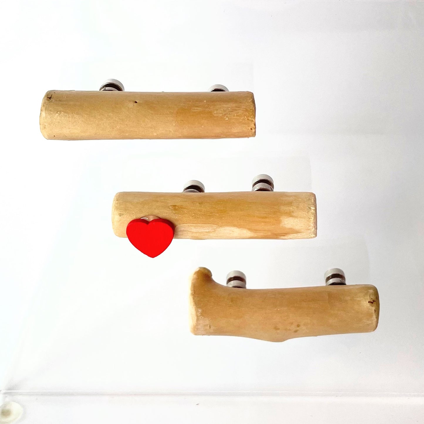 Triple Driftwood Log Set with Mini Decor - Jumping Spider Setup - Opus Vita