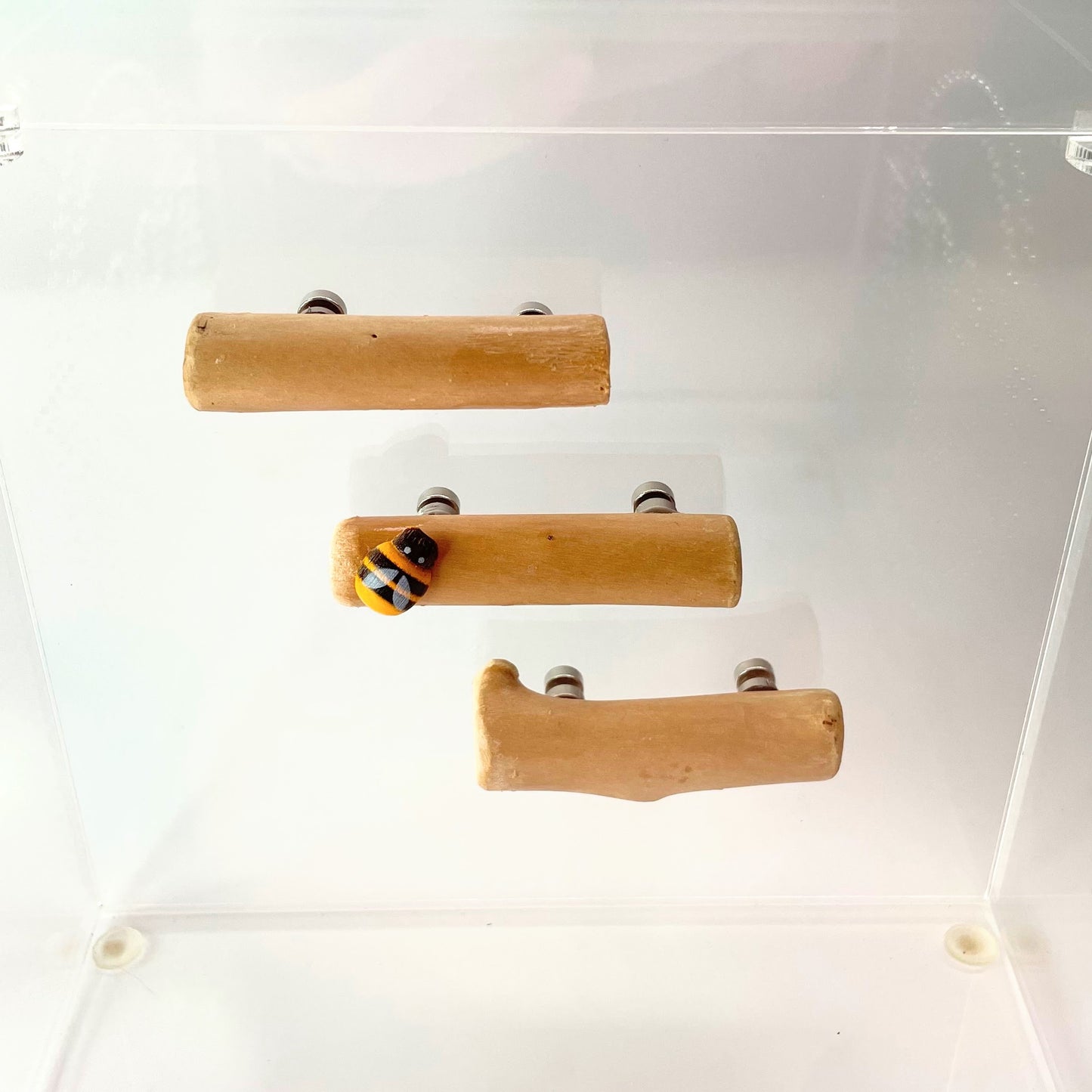 Triple Driftwood Log Set with Mini Decor - Jumping Spider Setup - Opus Vita