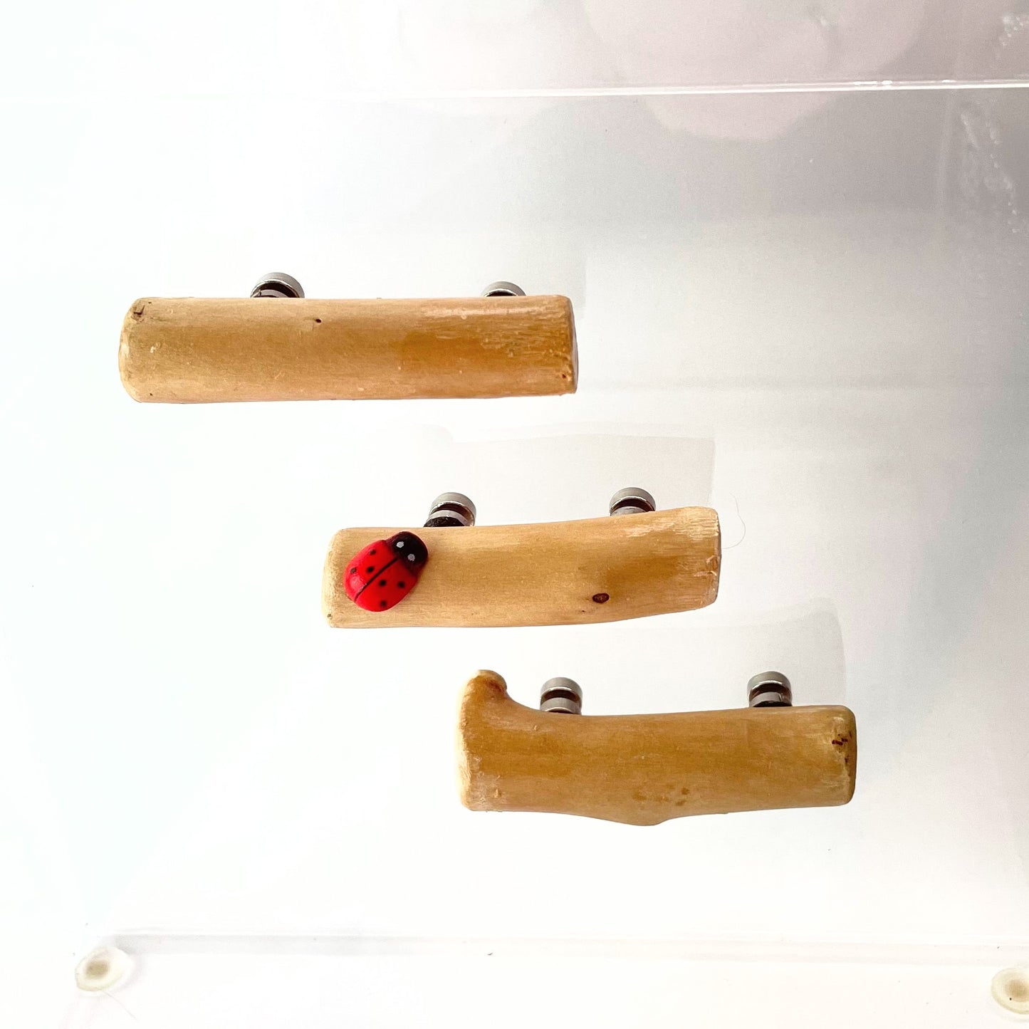 Triple Driftwood Log Set with Mini Decor - Jumping Spider Setup - Opus Vita