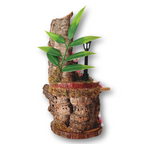 Enchanted Fairy Forest Décor Pack Pink - Jumping Spider Setup