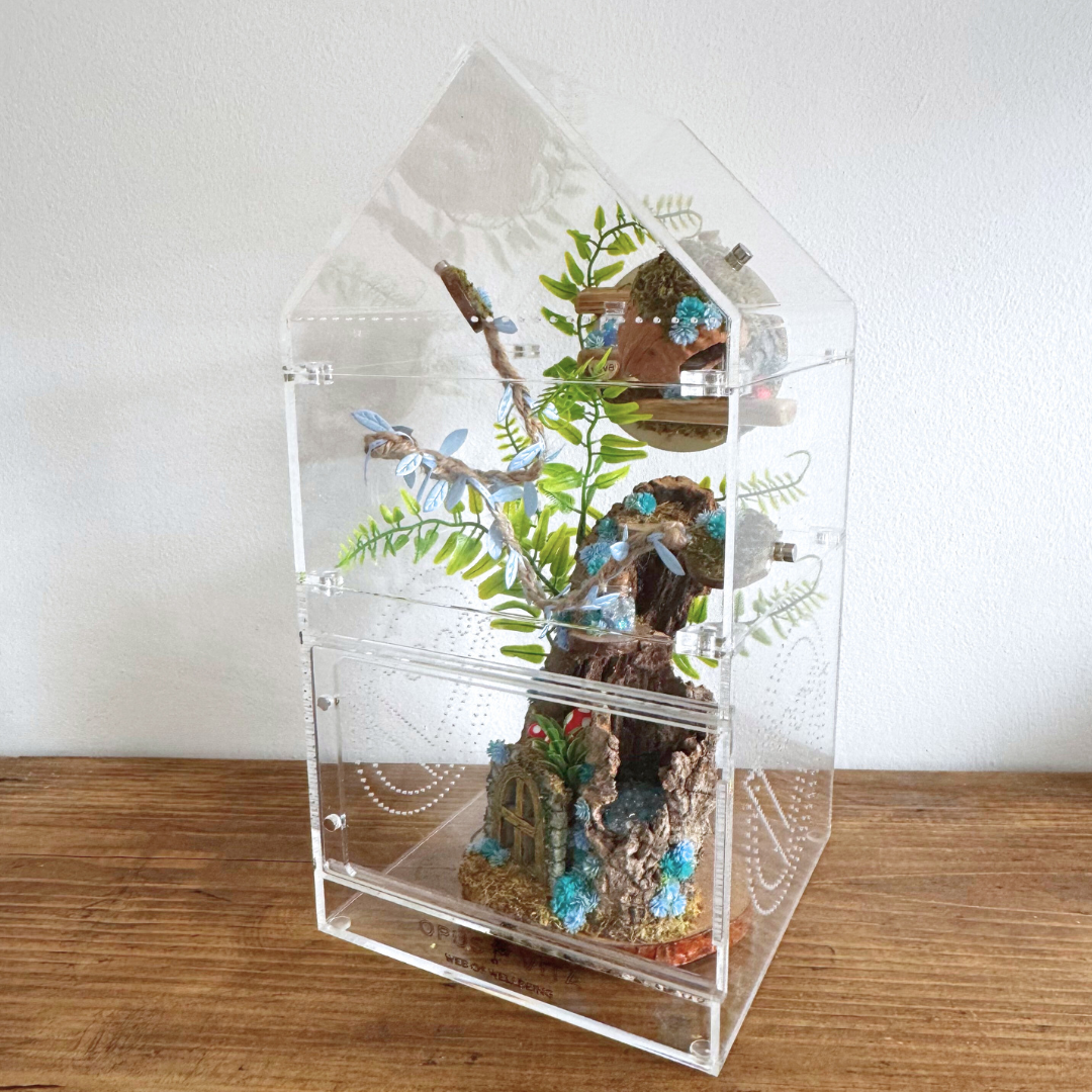 Enchanted Woodland Décor Pack Blue - Jumping Spider Setup