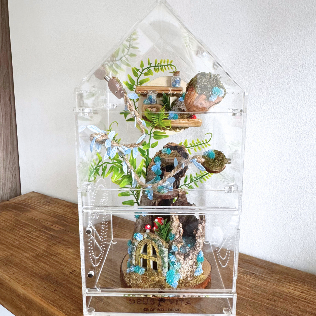 Enchanted Woodland Décor Pack Blue - Jumping Spider Setup