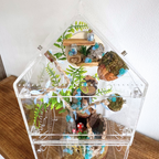 Enchanted Woodland Décor Pack Blue - Jumping Spider Setup