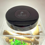 Led Rechargeable Top Light for Enclosure - for Jumping Spiders - Opus Vita