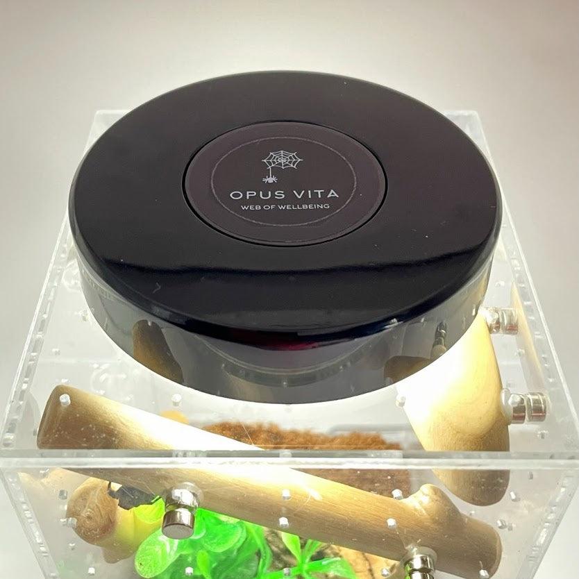 Led Rechargeable Top Light for Enclosure - for Jumping Spiders - Opus Vita