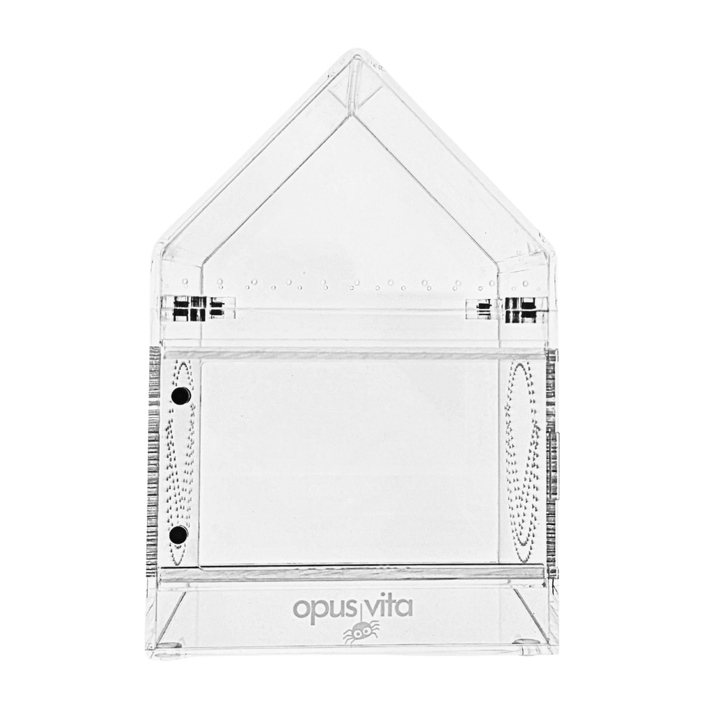 NEW Fidus V2 Bundle - Premium Jumping Spider Enclosure