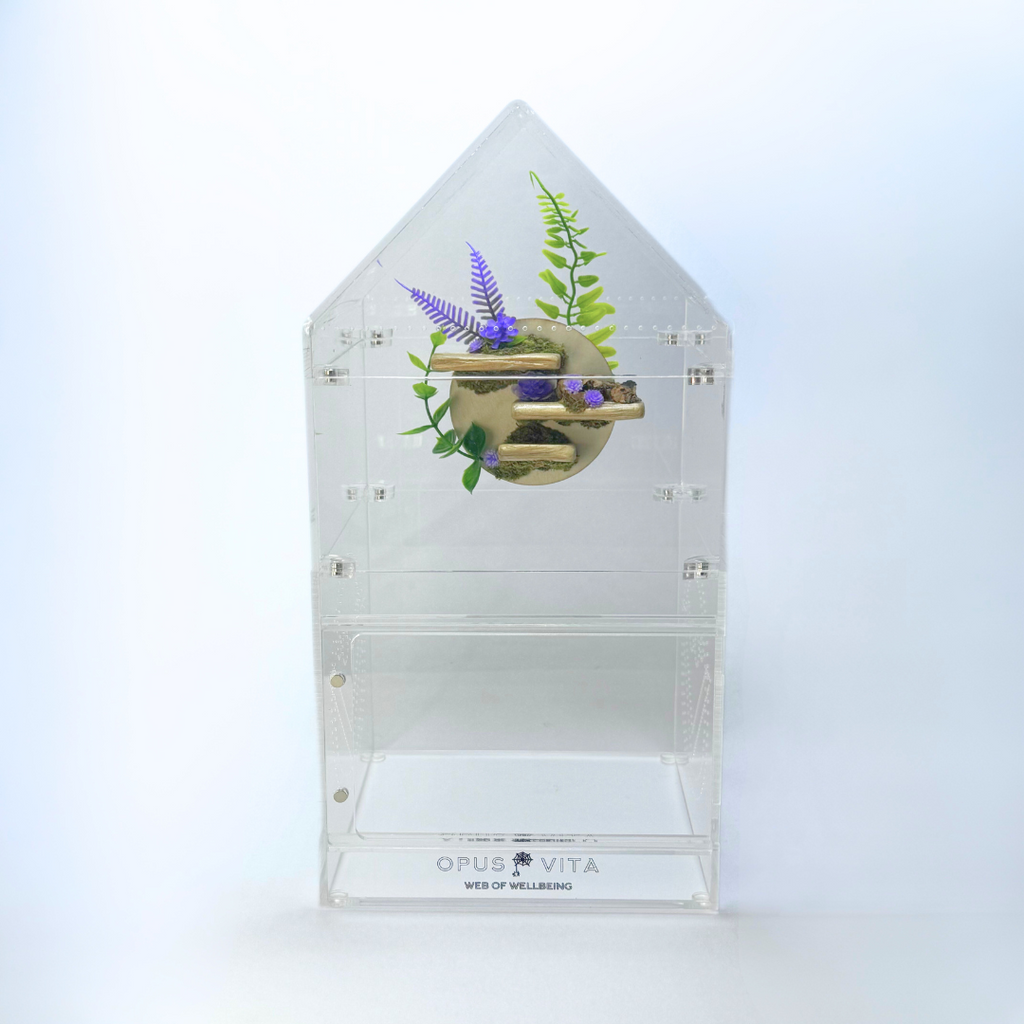 Petal Perch – Perfect Jumping Spider Platform/Ledge for Climbing & Webbing