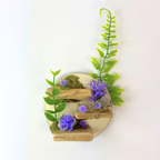 Petal Perch – Perfect Jumping Spider Platform/Ledge for Climbing & Webbing