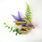 Petal Perch – Perfect Jumping Spider Platform/Ledge for Climbing & Webbing