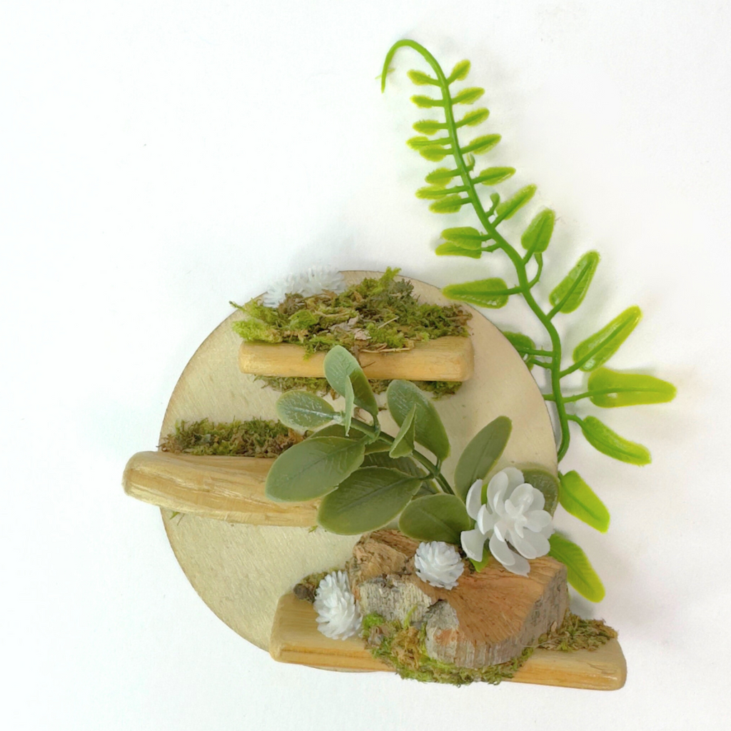 Petal Perch – Perfect Jumping Spider Platform/Ledge for Climbing & Webbing