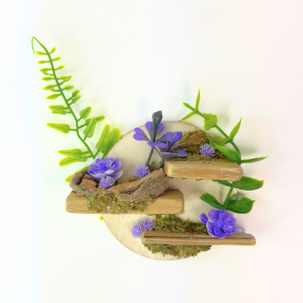 Petal Perch – Perfect Jumping Spider Platform/Ledge for Climbing & Webbing