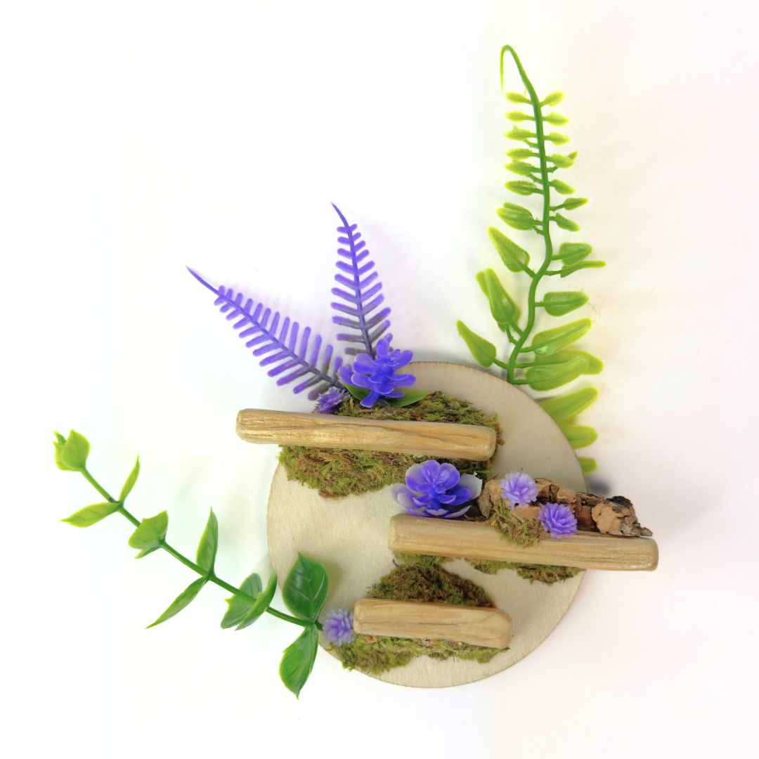 Petal Perch – Perfect Jumping Spider Platform/Ledge for Climbing & Webbing