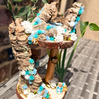 Spider Island - Sapphire Falls - Enclosure Decor