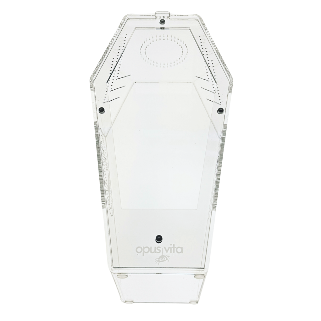 Loculus - Coffin Enclosure - Large - Spider Habitat