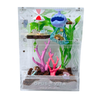 Summer Shores Mystery Decor Pack
