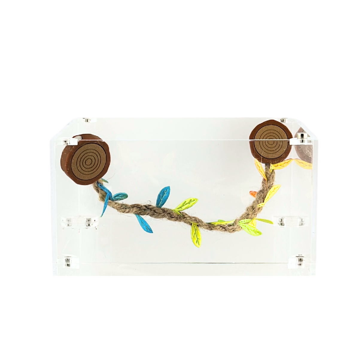 Rope bridges with Twine - Decor - for Jumping Spiders