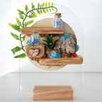 Enchanted Woodland Décor Pack Blue - Jumping Spider Setup
