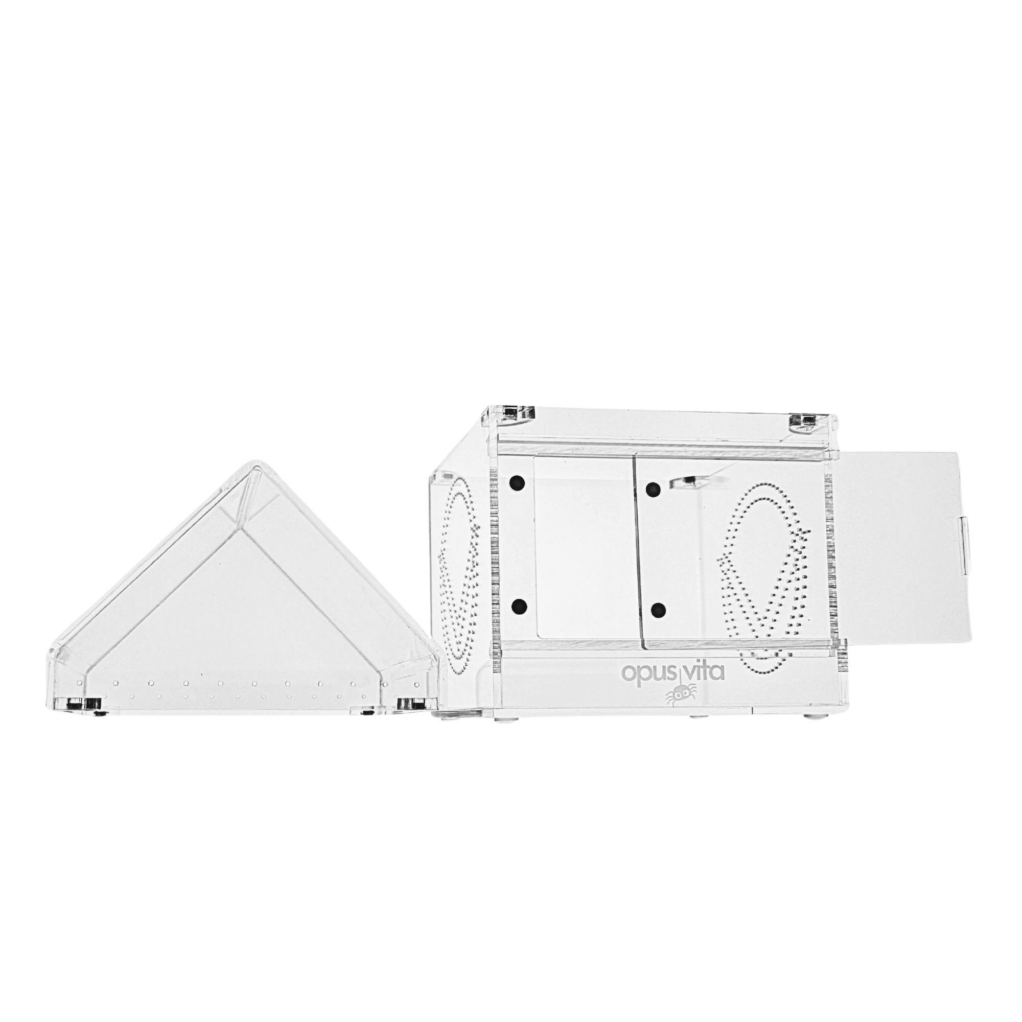 NEW Fidus V2 Bundle - Premium Jumping Spider Enclosure