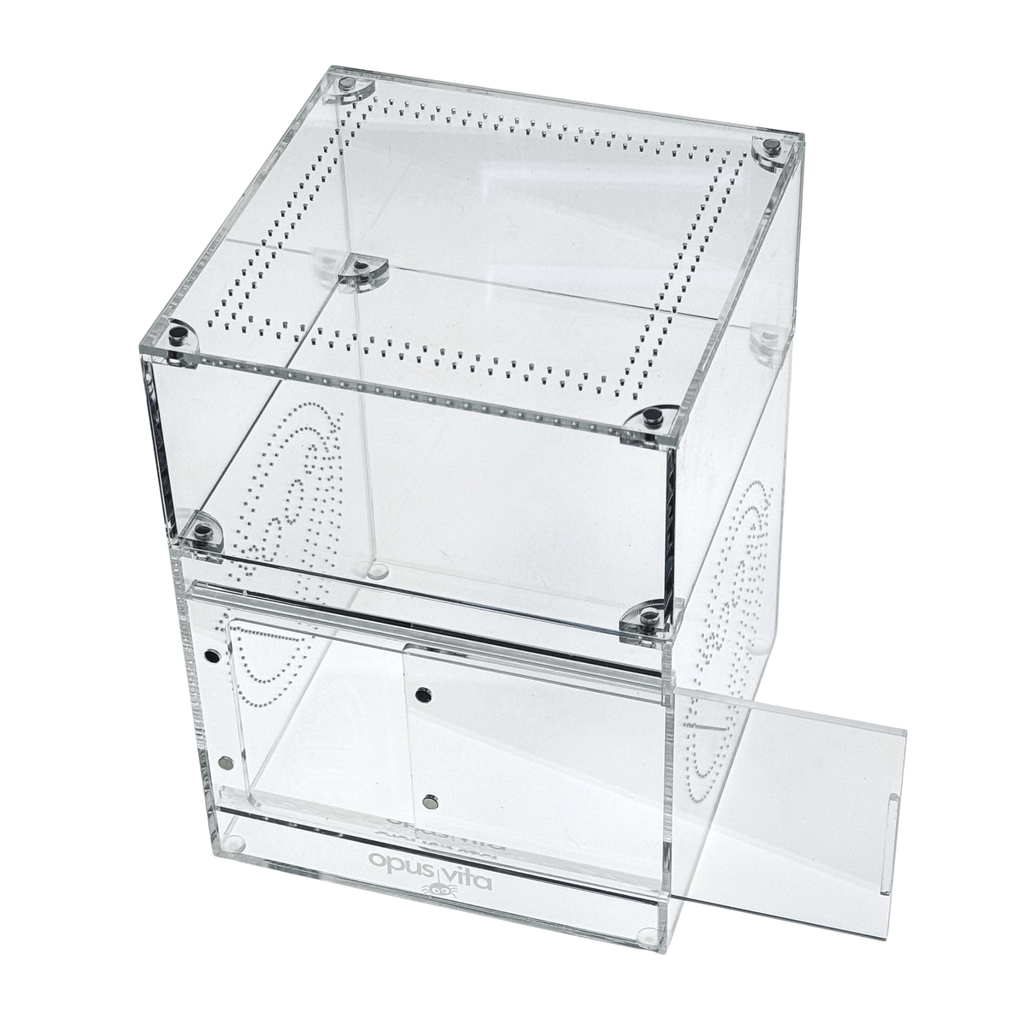NEW! Enclosure - The Domus v3.0 - Premium Arboreal Habitat
