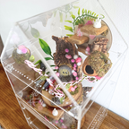 Enchanted Fairy Forest Décor Pack Pink - Jumping Spider Setup