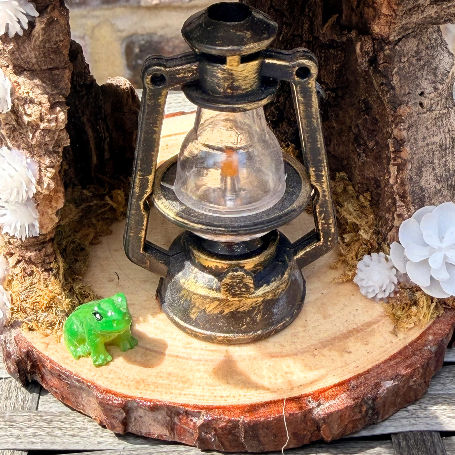 Spider Island - Lantern Hollow - Enclosure Decor