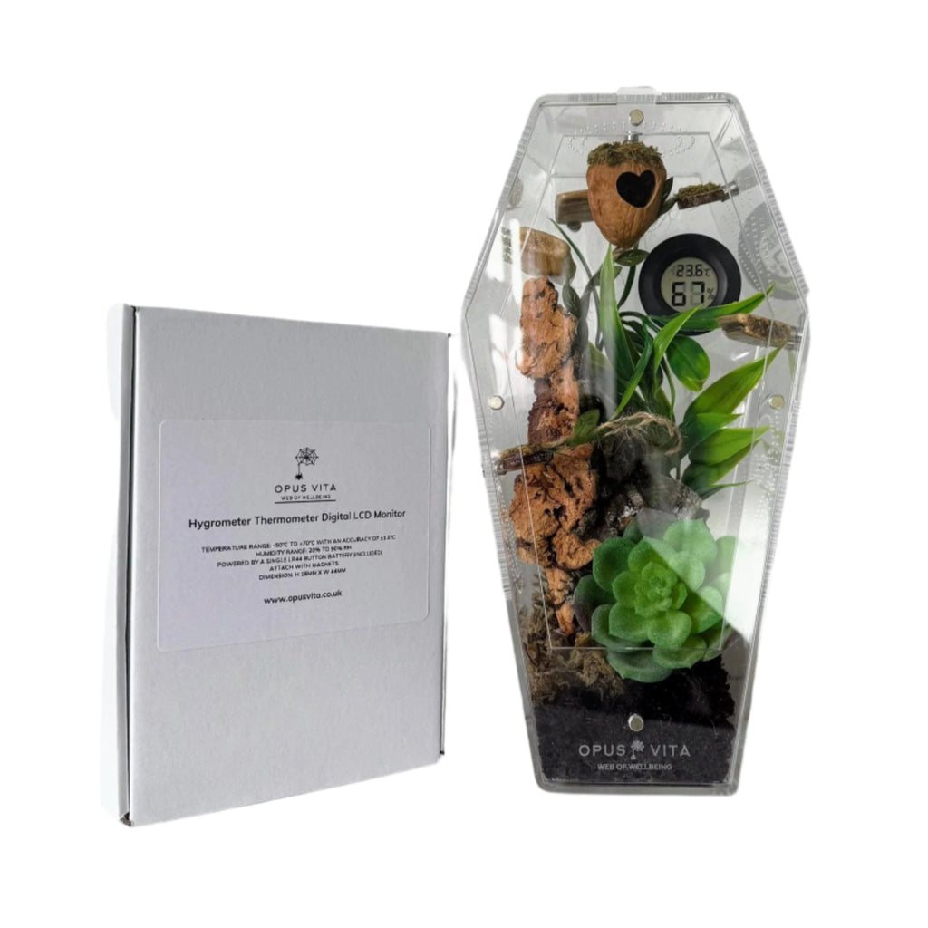 Jumping Spider Setup - Loculus Coffin Bundle - Premium Enclosure Setup