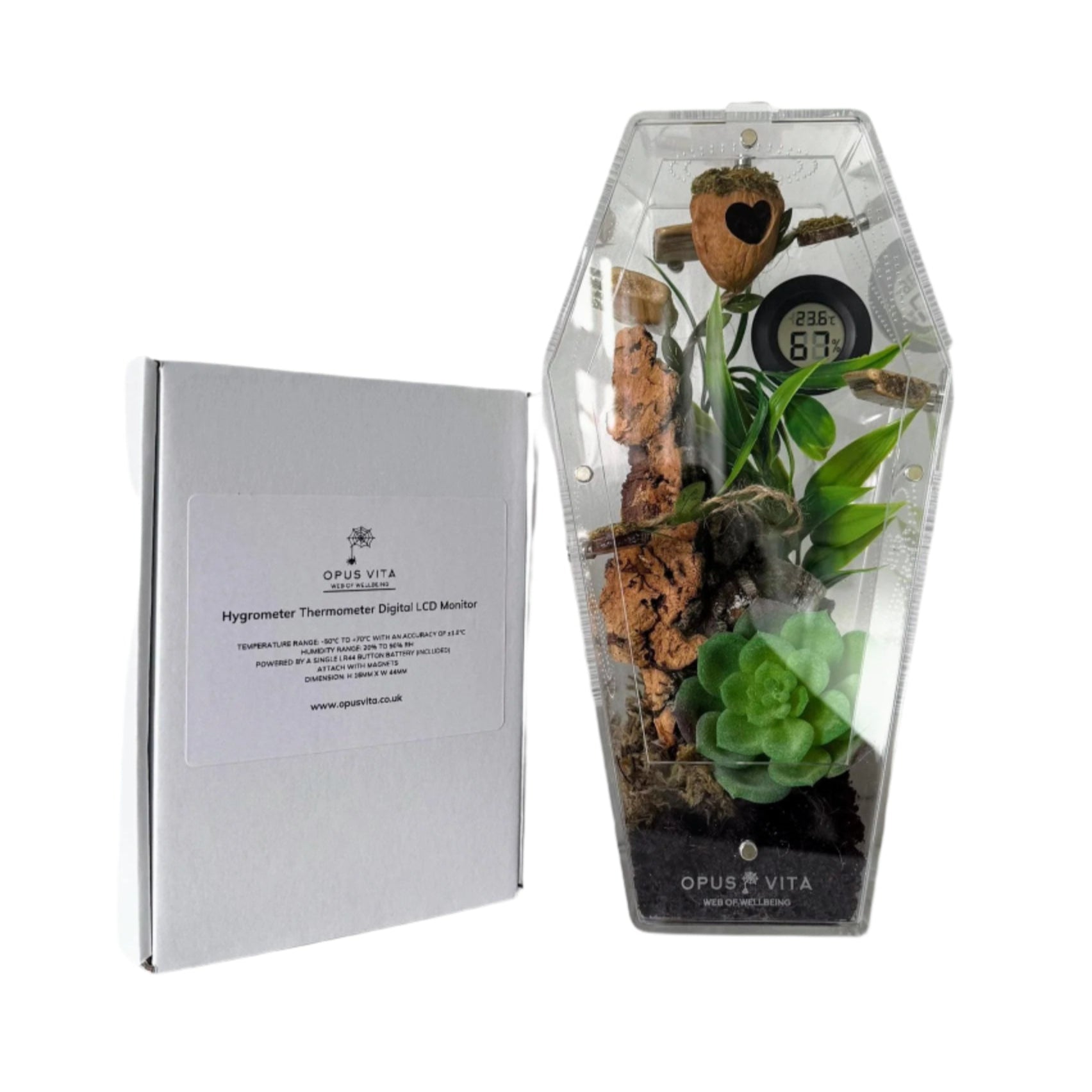 Jumping Spider Setup - Loculus Coffin Bundle - Premium Enclosure Setup