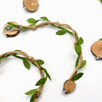 Rope bridges with Twine - Decor - for Jumping Spiders - Opus Vita