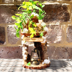 Spider Island - Lantern Hollow - Enclosure Decor