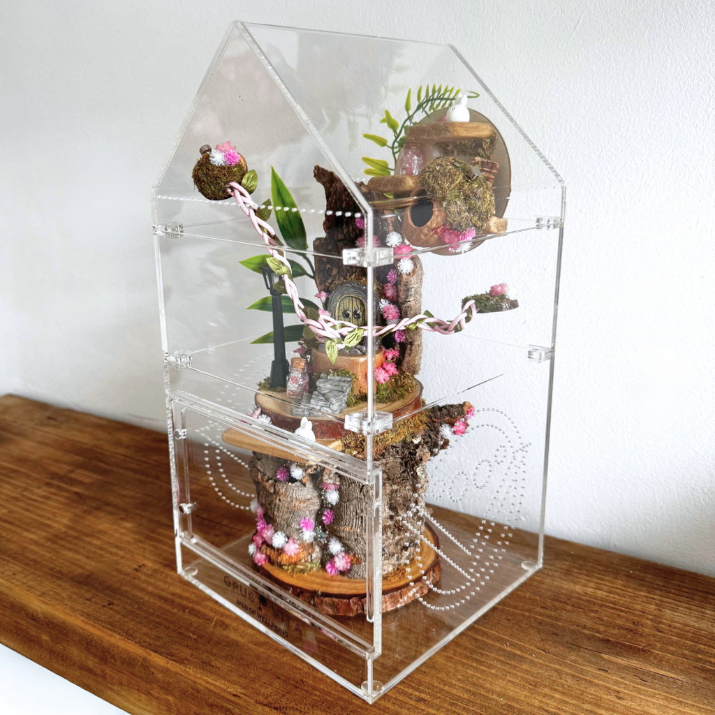 Enchanted Fairy Forest Décor Pack Pink - Jumping Spider Setup