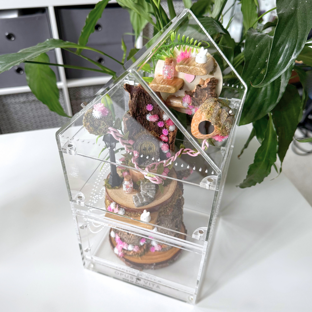 Enchanted Fairy Forest Décor Pack Pink - Jumping Spider Setup