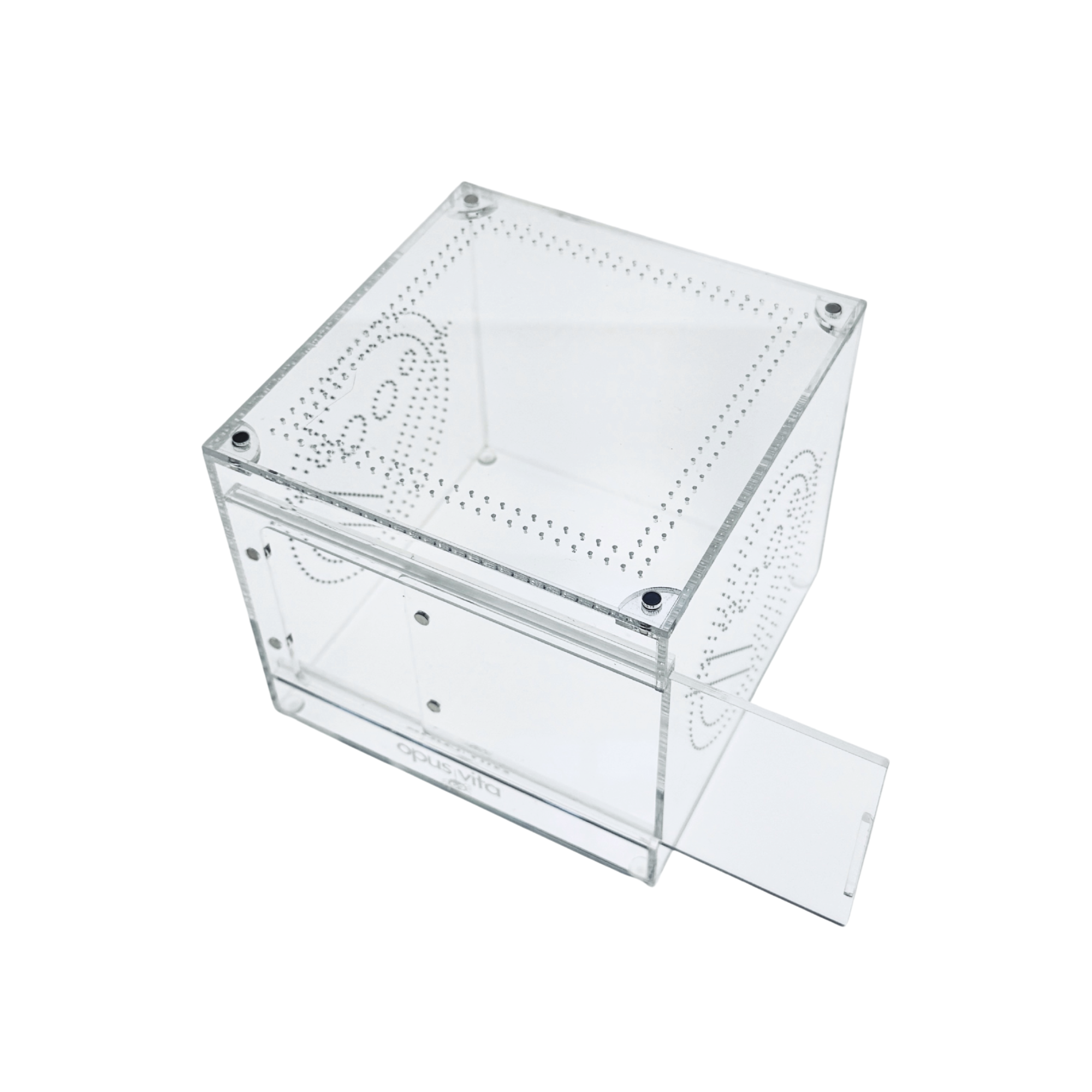NEW! Enclosure - The Domus v3.0 - Premium Arboreal Habitat