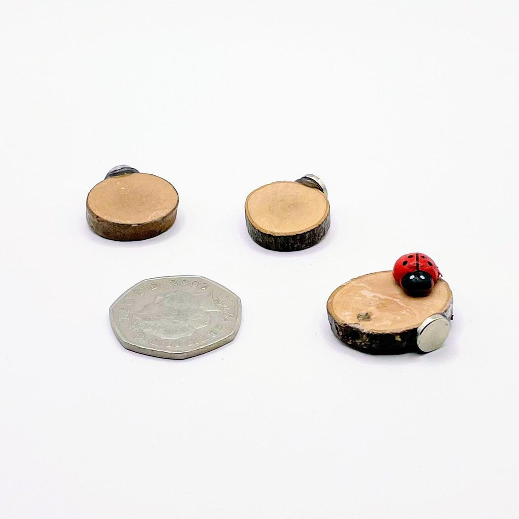 3 Wooden Stepping Stones with Mini Ladybug - Decor - For Jumping Spiders - Opus Vita