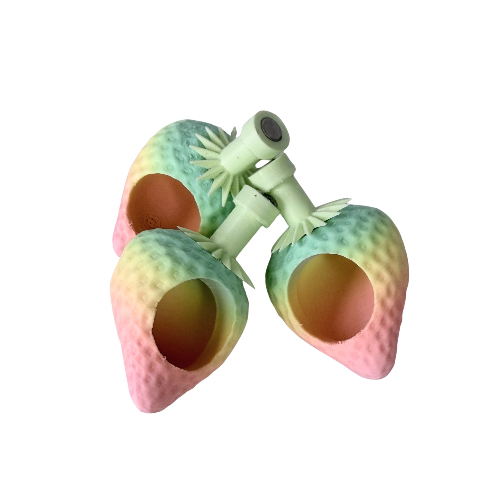 Candyfloss Cottage – Pastel Spider Enclosure Decor Set