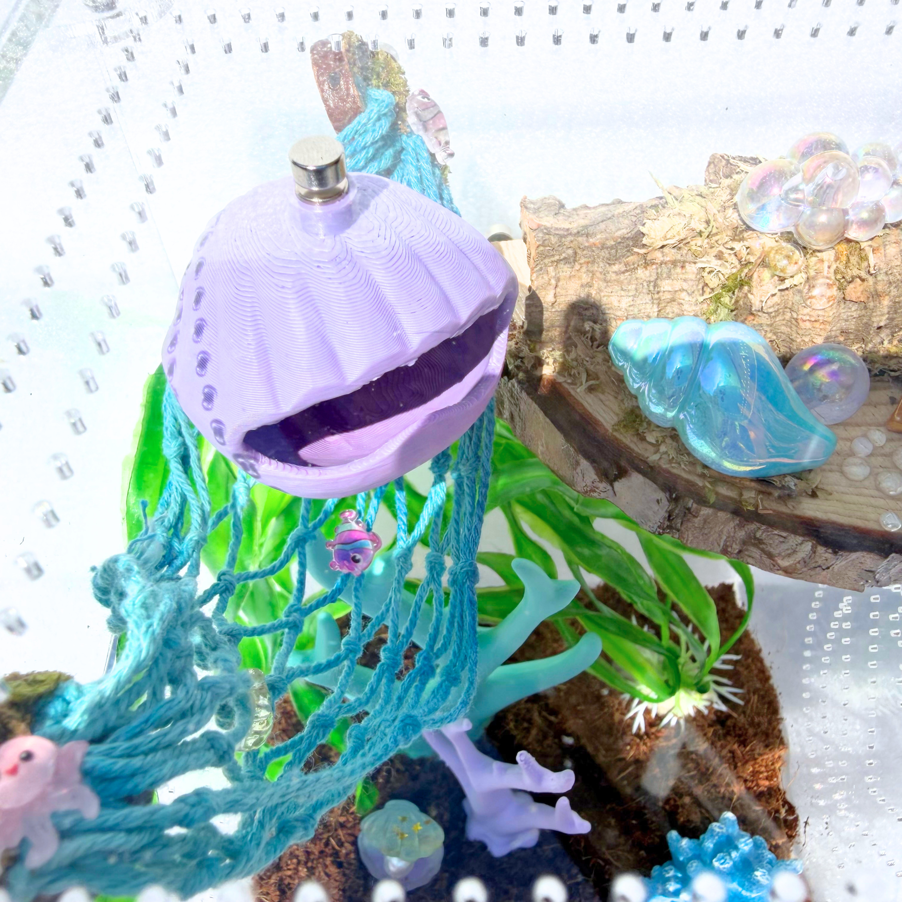 Summer Shores Mystery Decor Pack