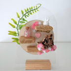 Enchanted Fairy Forest Décor Pack Pink - Jumping Spider Setup