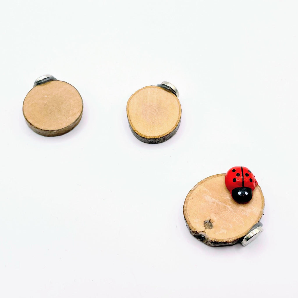 3 Wooden Stepping Stones with Mini Ladybug - Decor - For Jumping Spiders - Opus Vita