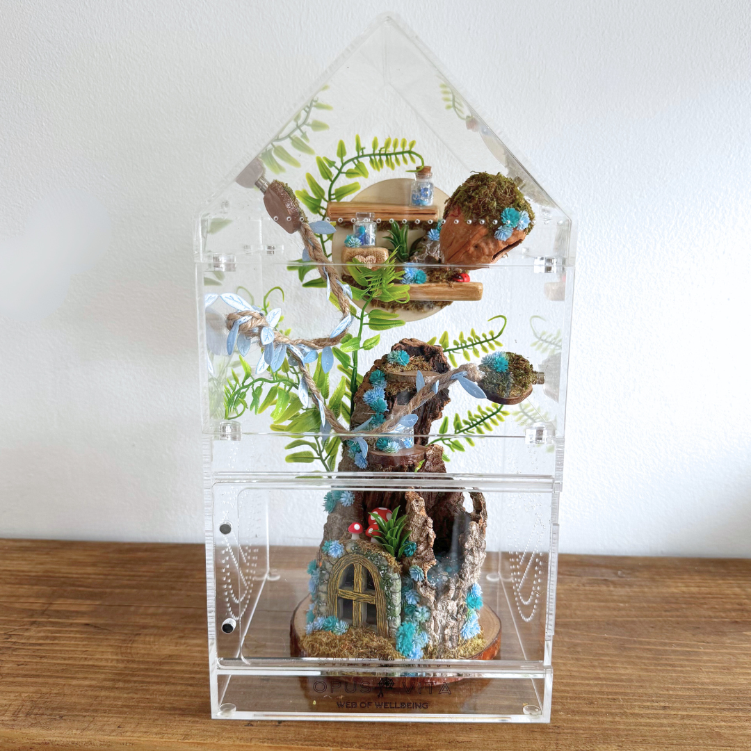 Enchanted Woodland Décor Pack Blue - Jumping Spider Setup