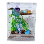 Summer Shores Mystery Decor Pack