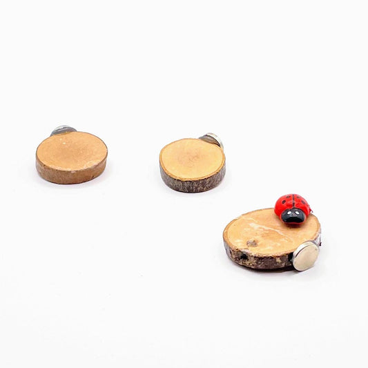 3 Wooden Stepping Stones with Mini Ladybug - Decor - For Jumping Spiders - Opus Vita