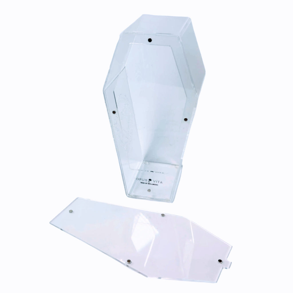 Loculus - Coffin Enclosure - Large - Spider Habitat