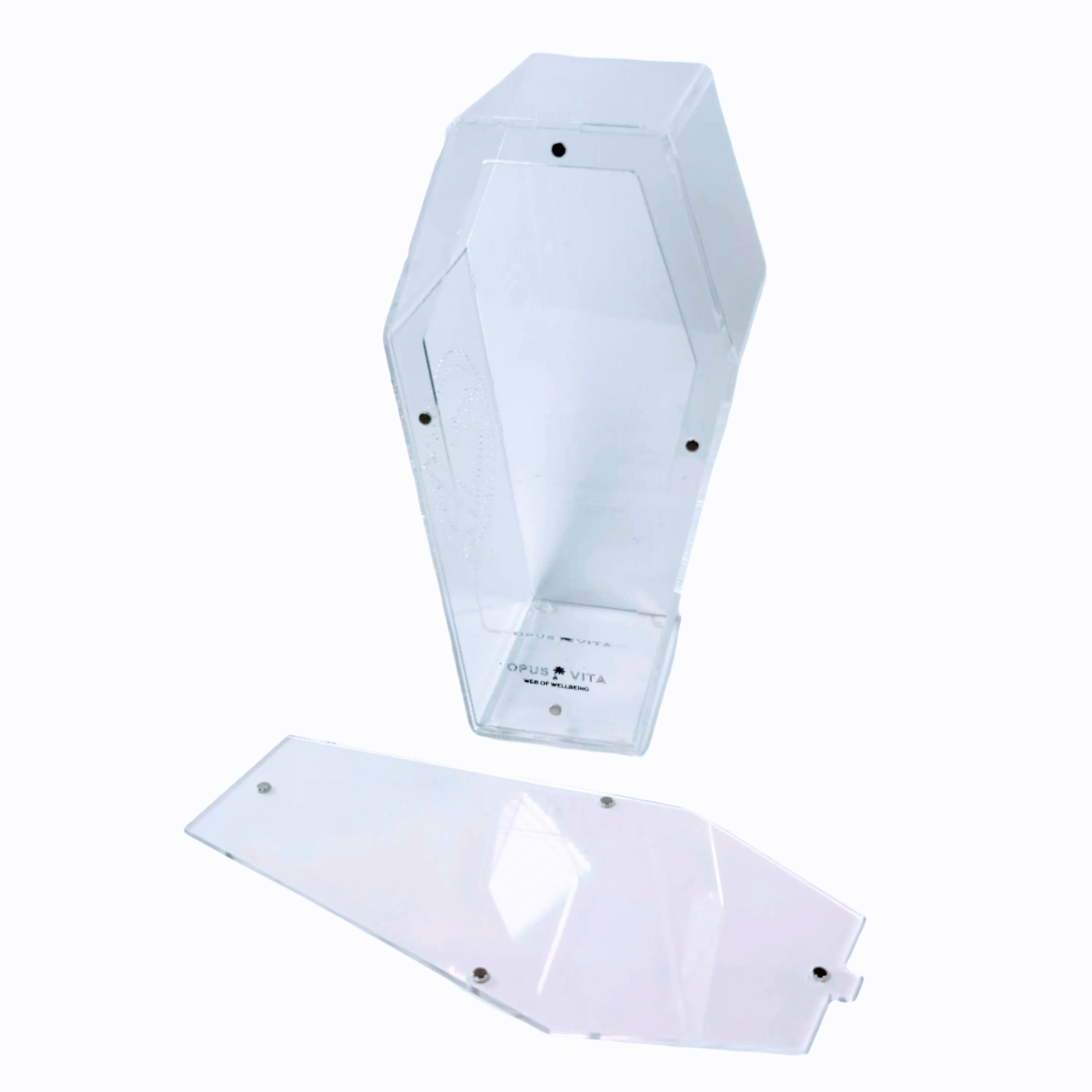 Loculus - Coffin Enclosure - Large - Spider Habitat