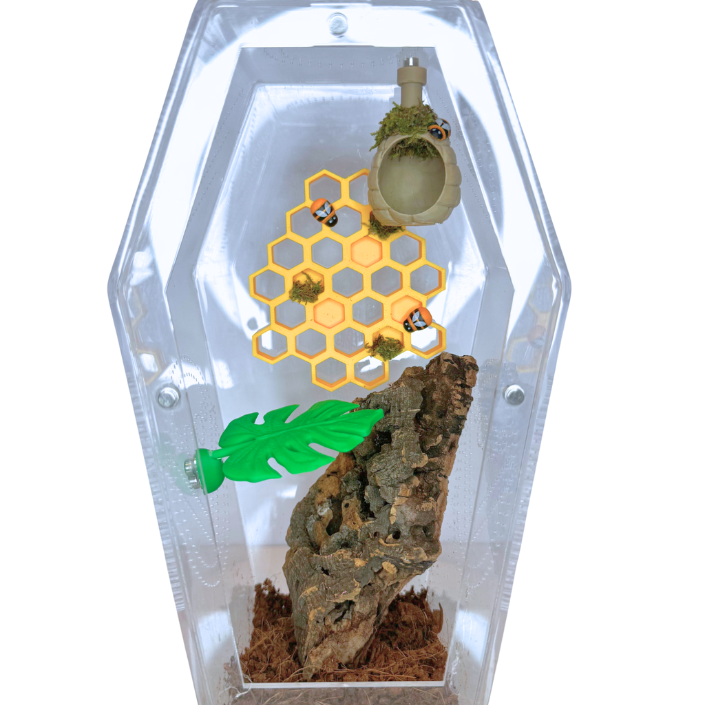 Hexagonal terrarium with honeycomb, plants, and rocks on a white background