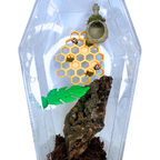 🐝 Bumblebee Enrichment Decor Set – Magnetic 3D Printed Habitat Decor