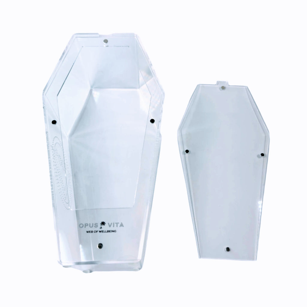 Loculus - Coffin Enclosure - Large - Spider Habitat