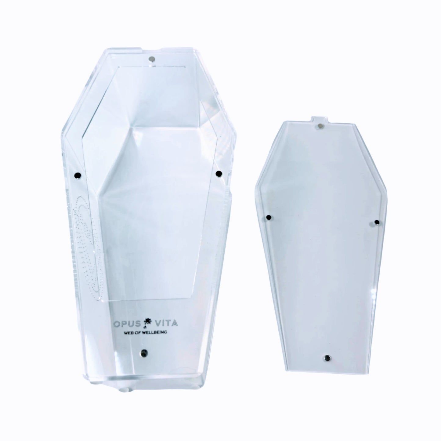 Loculus - Coffin Enclosure - Large - Spider Habitat - BACK IN STOCK!