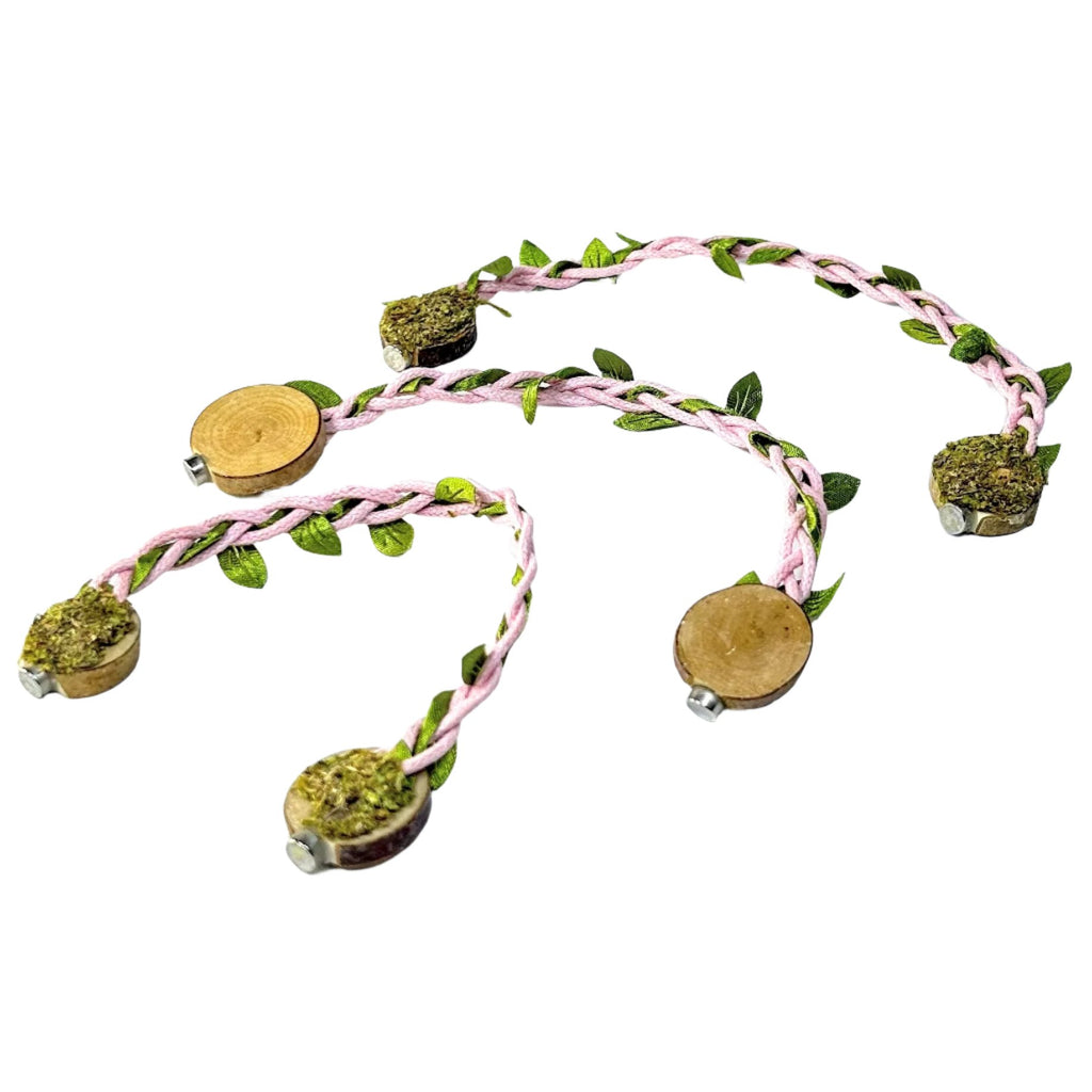 Rope bridges with Twine - Decor - for Jumping Spiders - Opus Vita